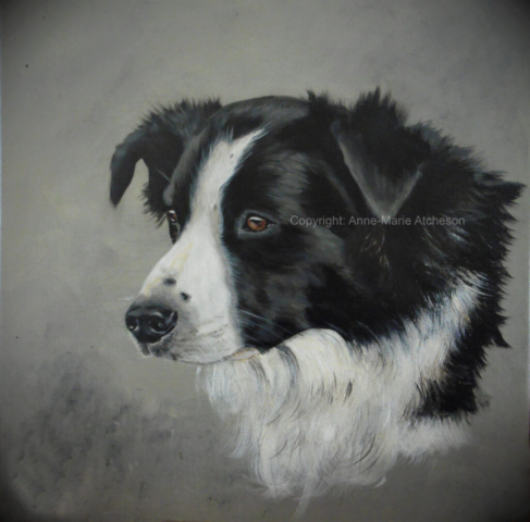 Commission Collie dog