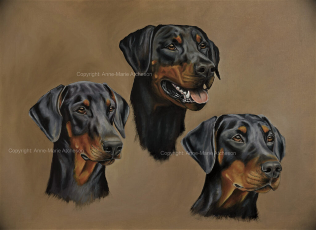 Commission three dog portrait