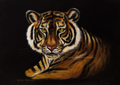 Ever Vigilant Tiger Canvas print