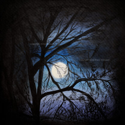 Midnight Moon canvas print