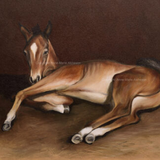 Joey Foal Canvas print